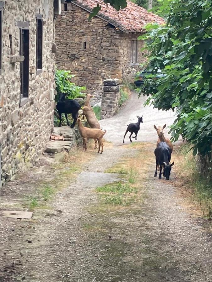 Apartamento Picos De Europa Cabezón de Liébana Eksteriør bilde